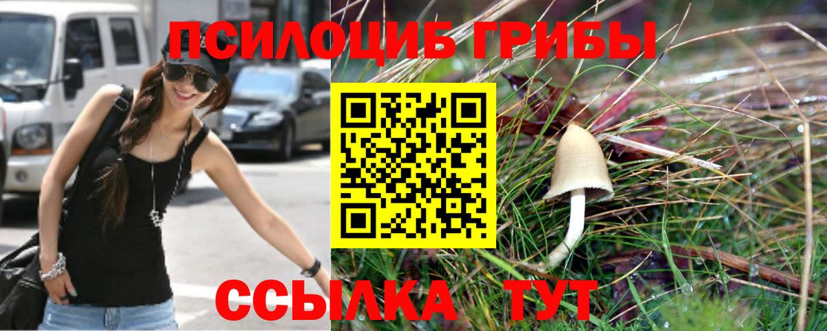 продажа наркотиков  Вход с VPN  Псилоцибиновые грибы GOLDEN TEACHER  Белорецк  Псилоцибиновые грибы ЛСД 